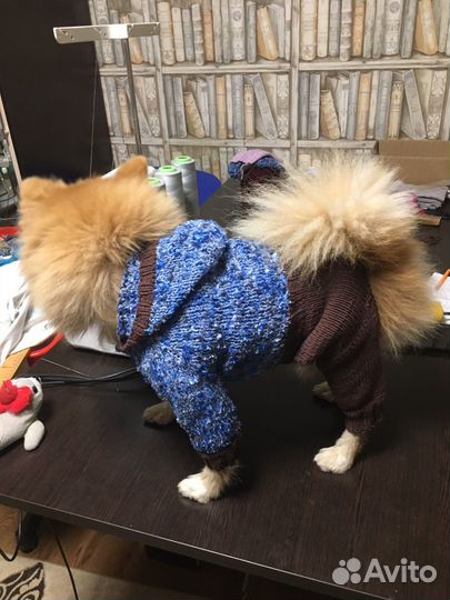 Вязаные комбинезоны для собачек, кошечек, кроликов