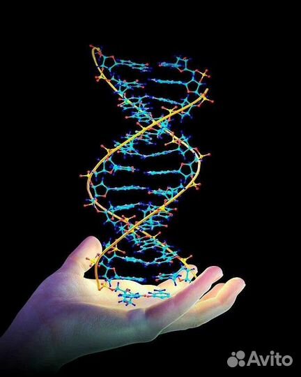 Репетитор по химии и биологии огэ и егэ