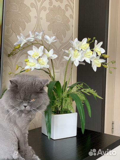 Цветок орхидея искусственная