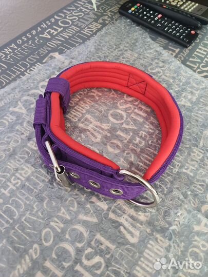 Ошейник для собак