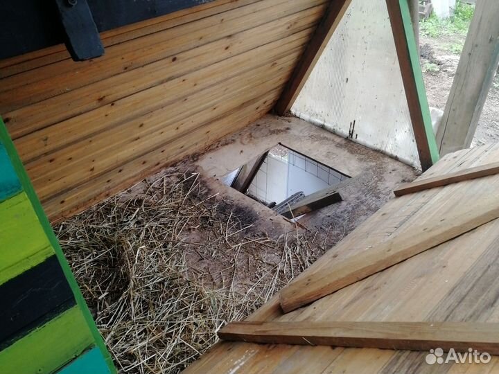 Домик для кур с выгулом