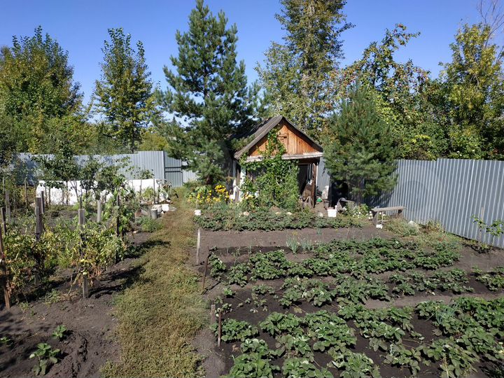 Участок 5 сот. (СНТ, ДНП)