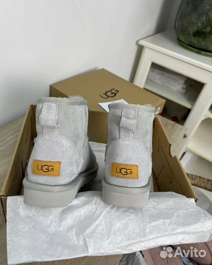 Угги Ugg Classic Mini II Grey-Violet