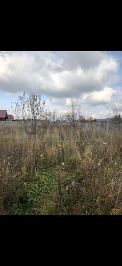 Участок 24,7 сот. (ИЖС)