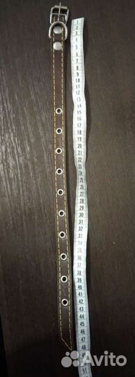 Ошейники и поводок