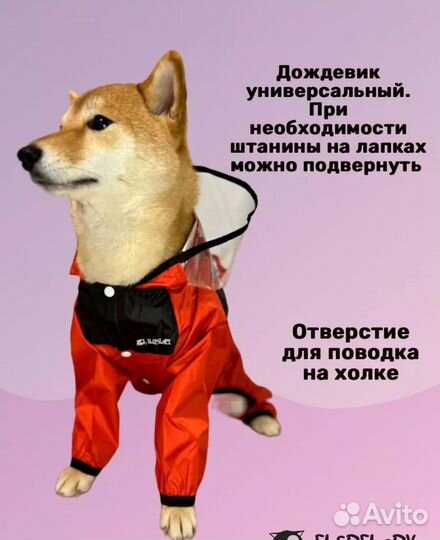 Дождевик для средней собаки