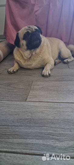 Ищу девушку для встречи