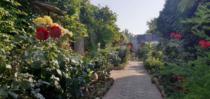 Дом 100 м² на участке 25 сот.