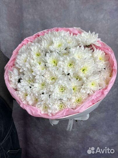 Цветы. Хризантемы с доставкой