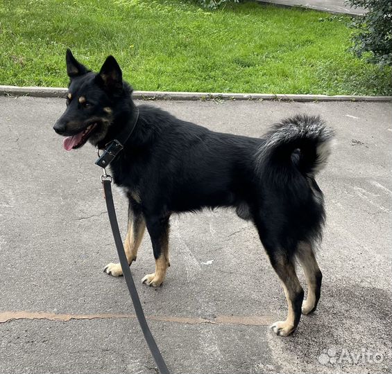 Беззащитный, трепетный мальчик попал в приют