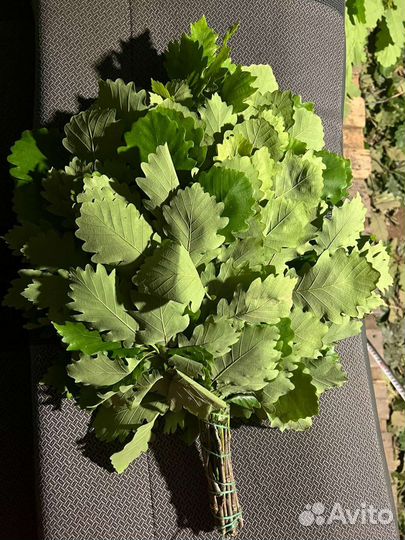 Дубовые веники для бани