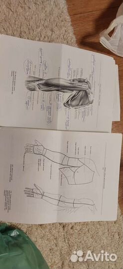 Педиатрия с 1 по 6 курс