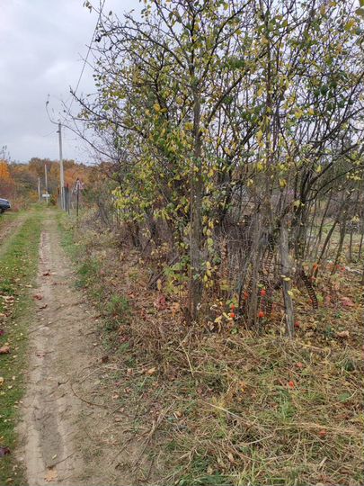 Участок 7,3 сот. (СНТ, ДНП)