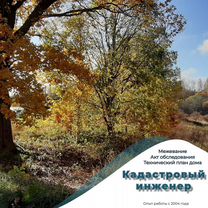 Кадастровый инженер, Сестрорецк
