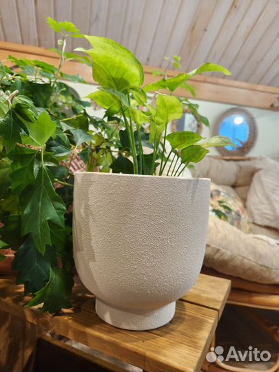 Кашпо hm home