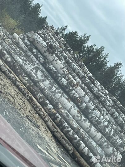 Продажа древесного угля