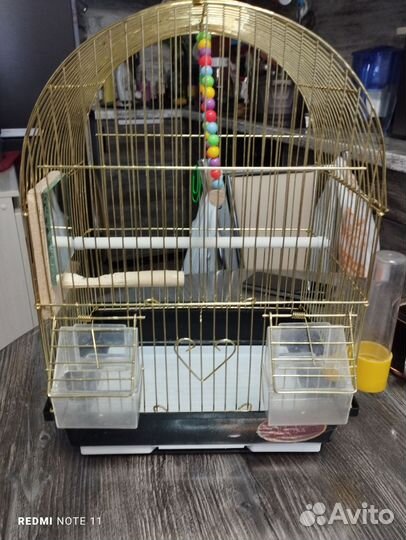 Клетка для попугая