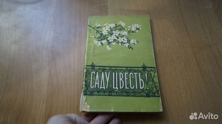 4686,5 Саду цвесть - 1957 год