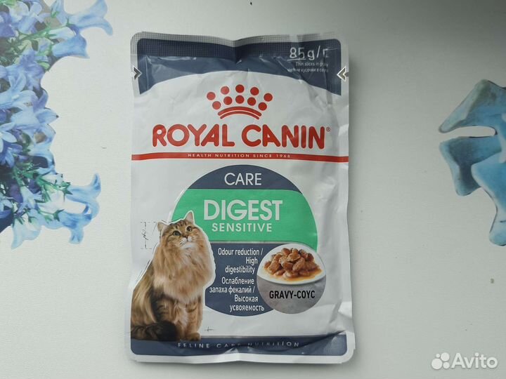 Влажный корм для кошек royal canin