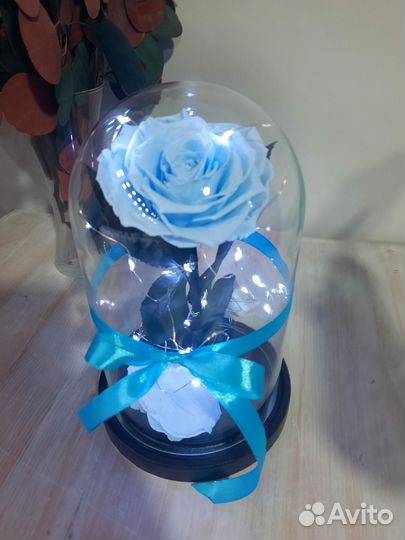 Роза в колбе