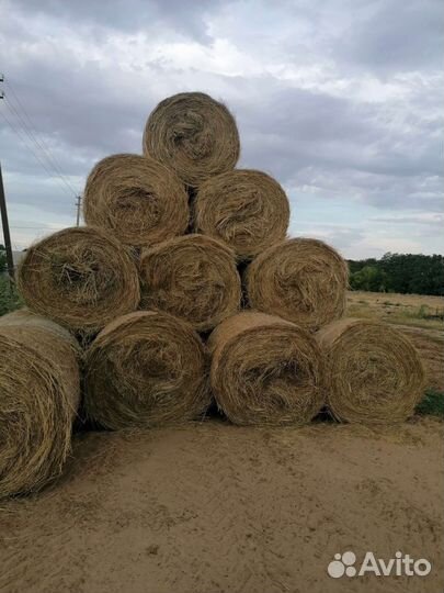 Продам сено в рулонах
