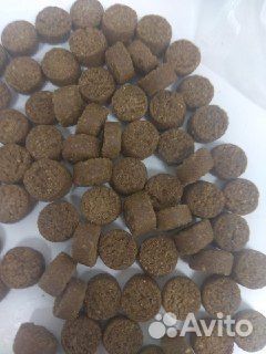 Корм для собак