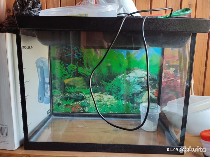 Аквариум