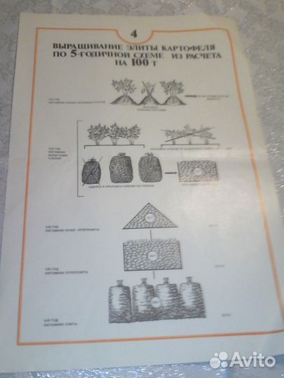 Плакаты