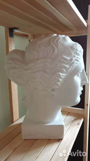 Гипсовая голова
