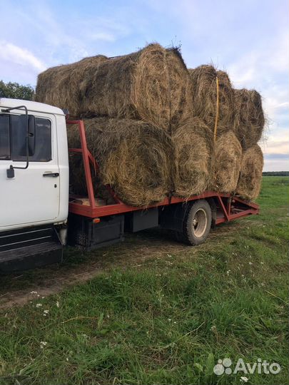 Продам сено в рулонах