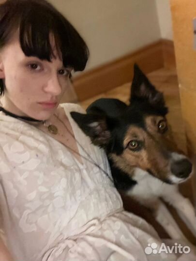 Продавец консультант