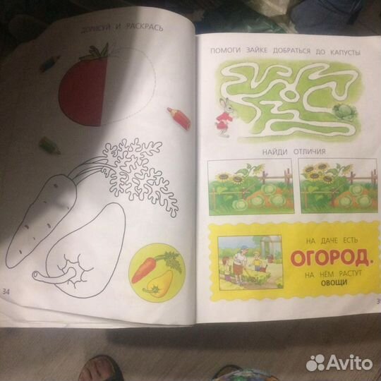 Первая книга 39 на 29