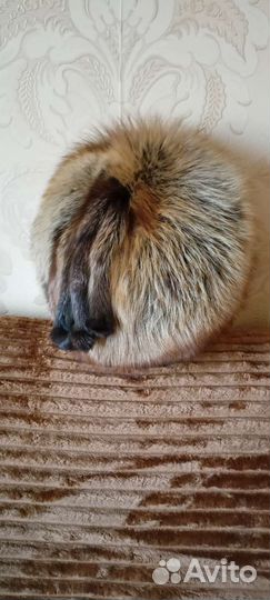 Шапка женская