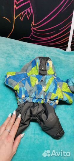 Комбинезон зимний для собак мелкий пород