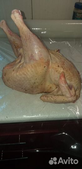 Мясо индейки,бройлера, индоутки, цесарки