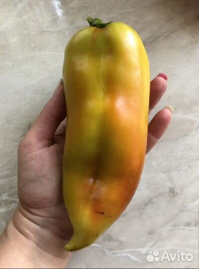 Экоудобрение Vertera