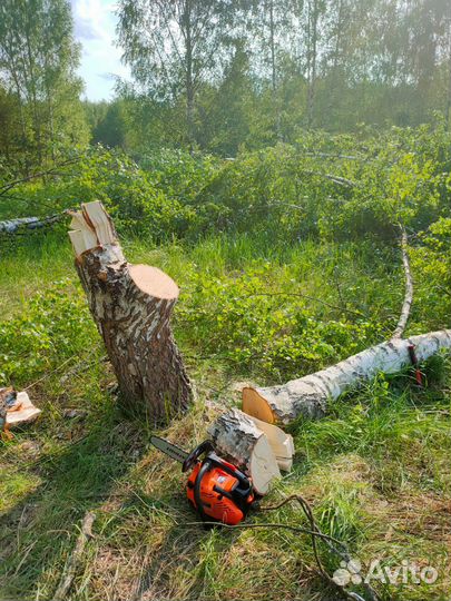 Спил деревьев, расчистка участка, вывоз мусора