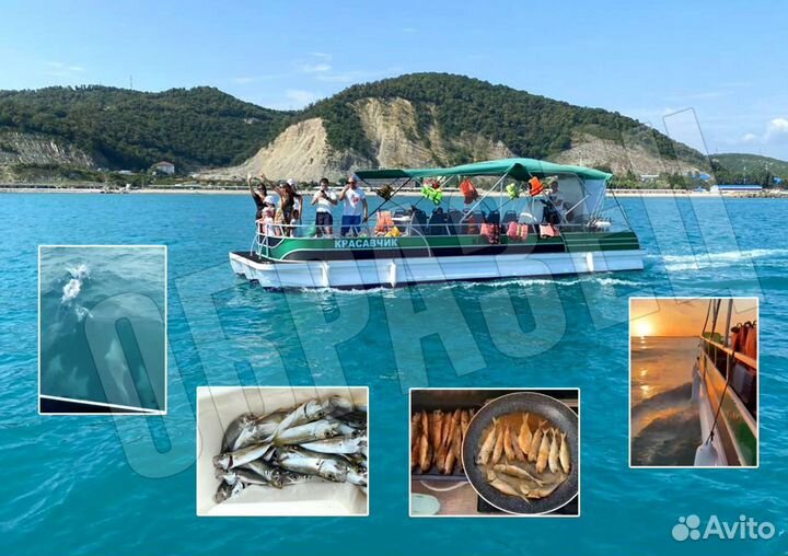 Морские прогулки