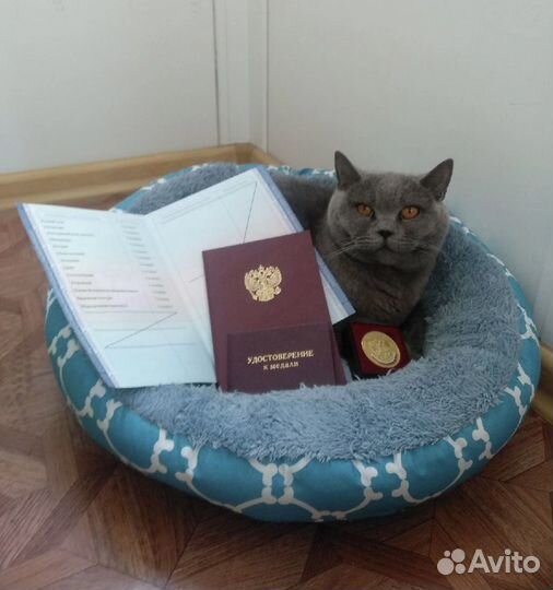 Репетитор по математике и информатике