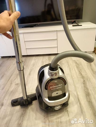 Пылесос Electolux ergo easy