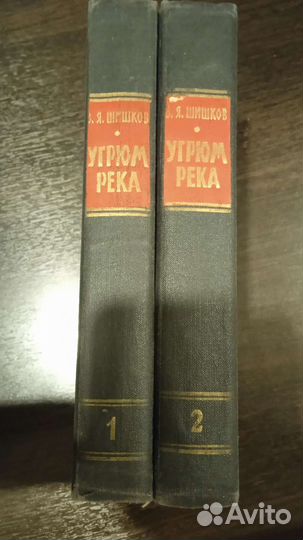 Книга В. Я. Шишкова 