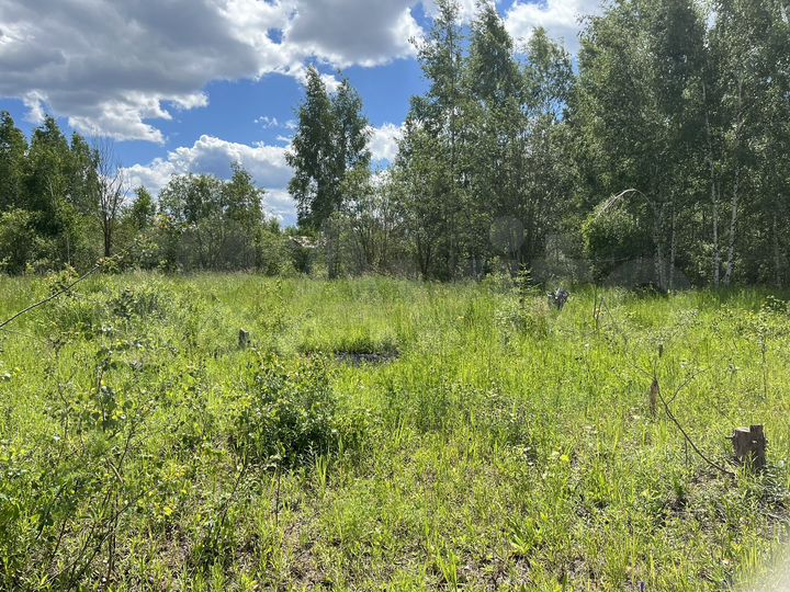 Участок 12 сот. (СНТ, ДНП)