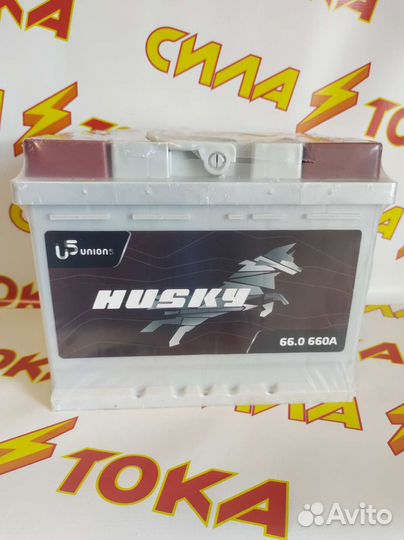 Аккумулятор Husky(Mutlu) 66А Доставка