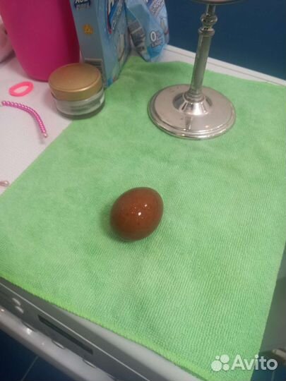 Инкубационное яйцо