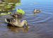 Гостевой дом У Воды, Ильинский