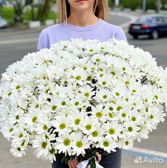 Хризантема Букеты доставка цветов