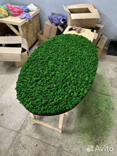 Панно из мха