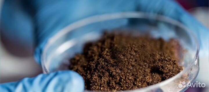 Грунт растительный