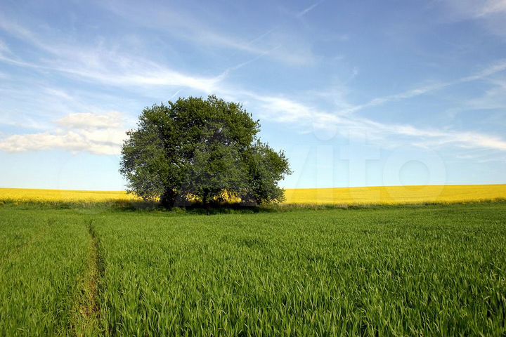 Участок 6 сот. (СНТ, ДНП)