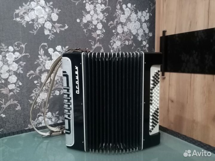 Баян Огонек 2